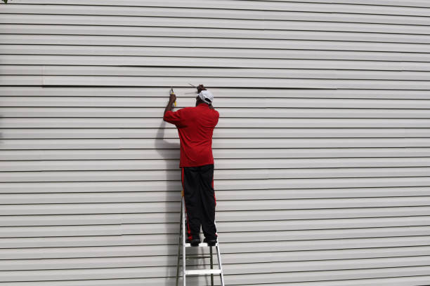 Best Siding Replacement  in Ome, GA
