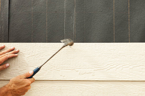 Best Aluminum Siding Installation  in Ome, GA