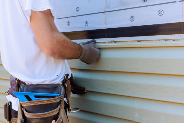 Best Custom Siding Design  in Ome, GA